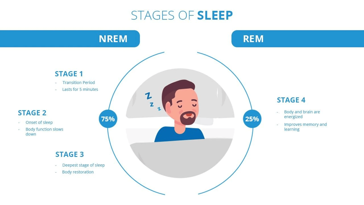 Why Sleep is important. Importance of Sleep. The importance of good Sleep:. Why do we Sleep?.