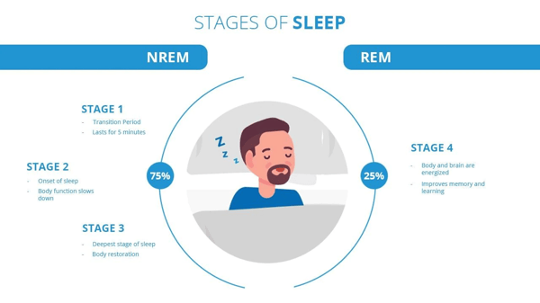 Why We Sleep and How It Is Important For Our Health