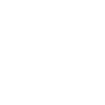 Icon2-2