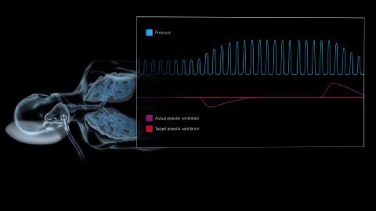 image (6)